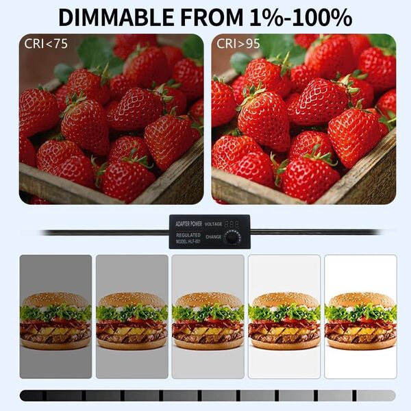 OBEST 60cm Boîte à lumière Studio, Light Box Photographic Studio, avec 2 Sources Lumineuses Amovibles (166 Perles de lumière LED), Fond de 6 Couleurs et écran de lumière Douce à Deux Couleurs