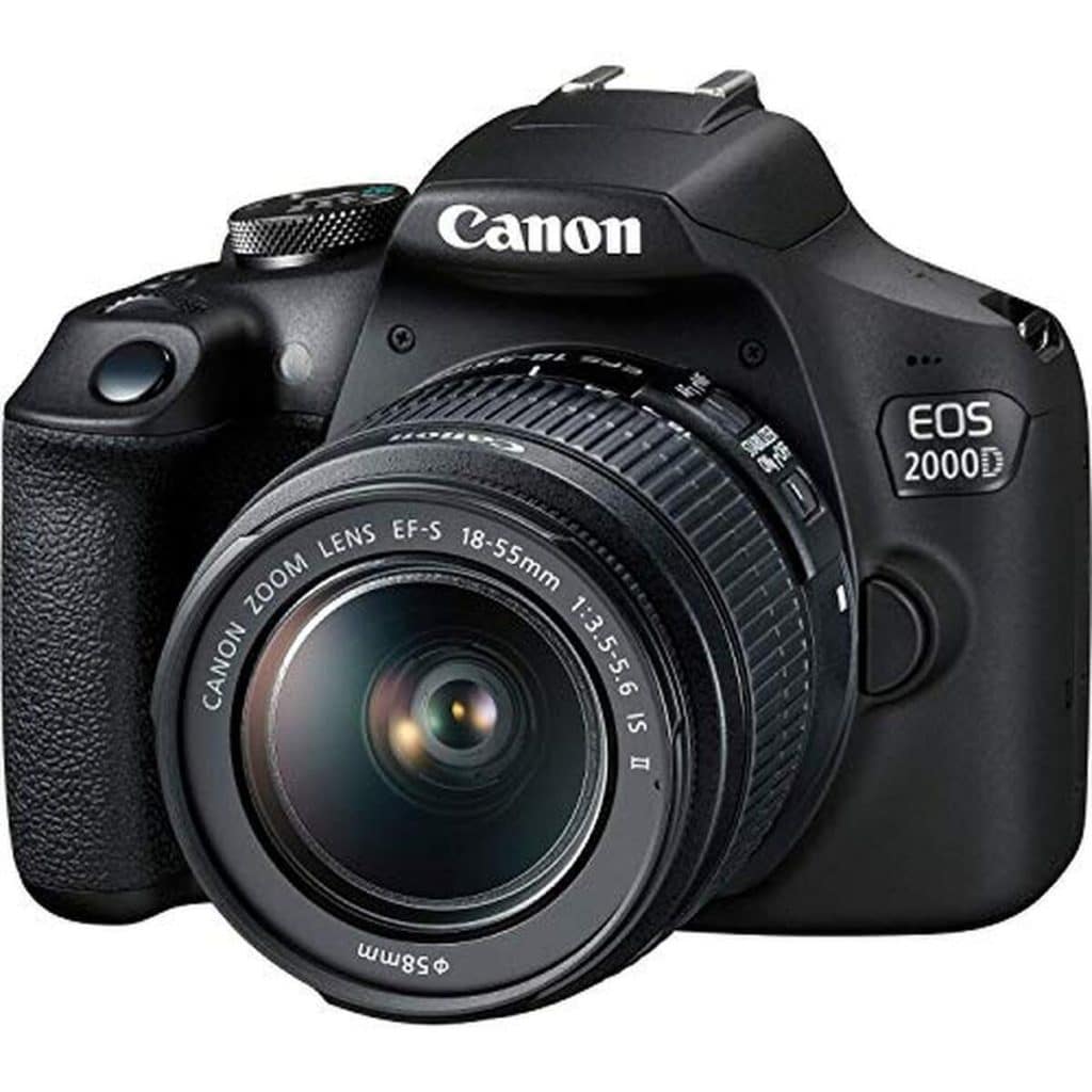 Test Canon EOS 2000D : performance des objectifs 18-55 mm et 50 mm