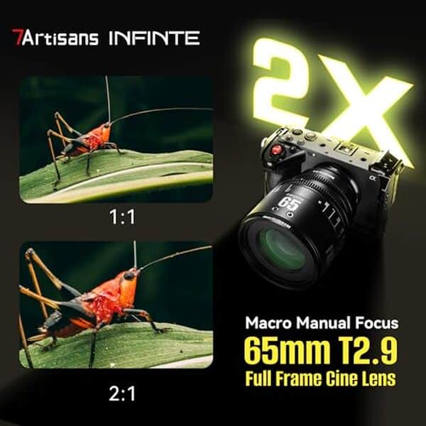 Découvrez les performances de l'objectif macro 7artisans mf65mm t2.9 pour nikon z : qualité optique, détails captivants et conseils d'utilisation pour des photos macros exceptionnelles.