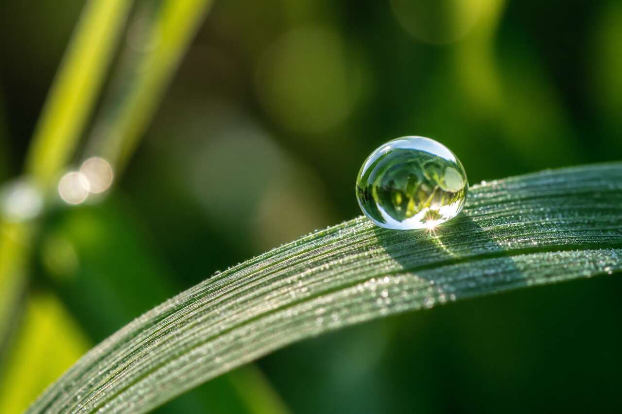 S'inspirer de la nature pour des clichés originaux S'inspirer de la nature pour des clichés originaux
