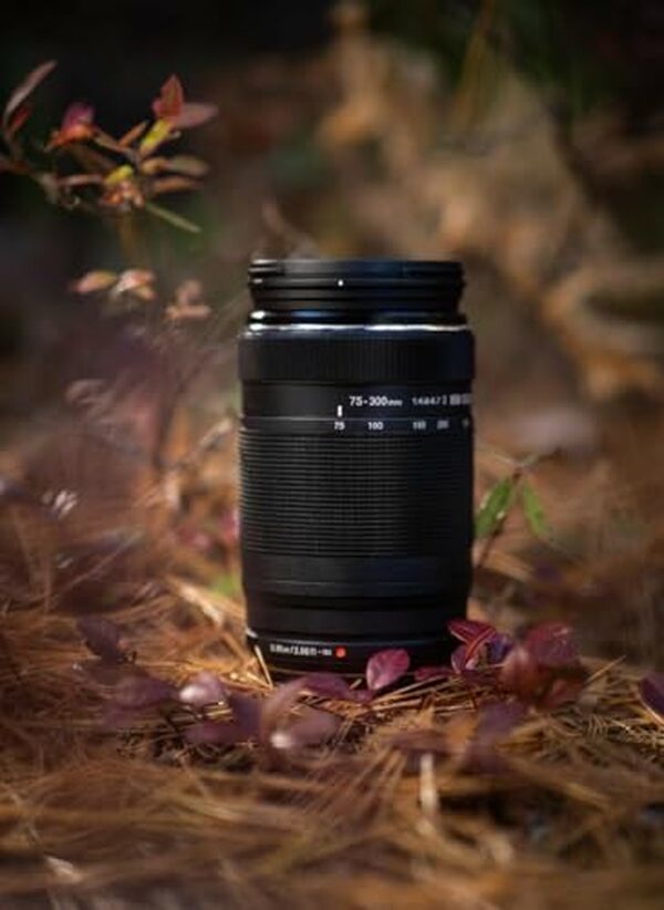 Découvrez notre test détaillé de l'objectif OM System M.Zuiko 75-300mm f/4.8-6.7 II : performances, qualité optique et polyvalence pour photographes MFT. 
