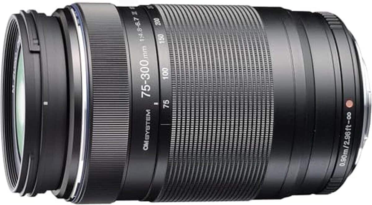 Test : objectif om system m.zuiko 75-300mm 1 : 4.8-6.7 ii noir pour appareils mft